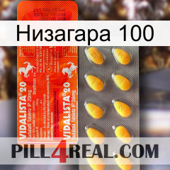 Низагара 100 new01